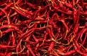 Red-Chilli-Sukhi-Mirchi